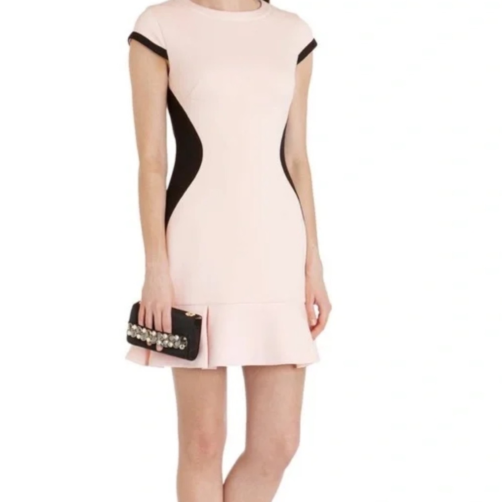 Ted Baker Limoni Pink and Black Mini Dress | 3